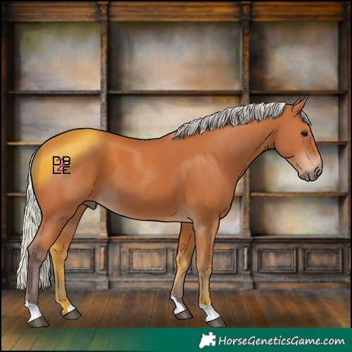 Horse Color:Silver Bay 