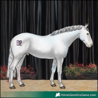 Horse Color:Chocolate Silver Blue Chinchilla Roan Pearl 