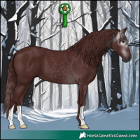 Horse Color:Gray Chocolate Black