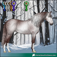 Horse Color:Gray Chocolate Black