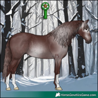 Horse Color:Gray Chocolate Black 