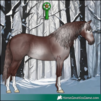 Horse Color:Gray Chocolate Black 