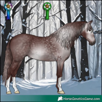Horse Color:Gray Chocolate Black