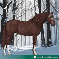Horse Color:Gray Chocolate Black 