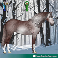 Horse Color:Gray Chocolate Black