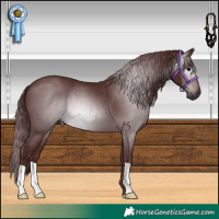 Horse Color:Gray Chocolate Black 