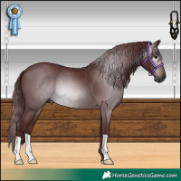 Horse Color:Gray Chocolate Black 