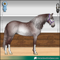 Horse Color:Gray Chocolate Black