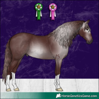 Horse Color:Gray Chocolate Black 