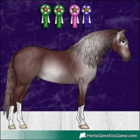 Horse Color:Gray Chocolate Black 