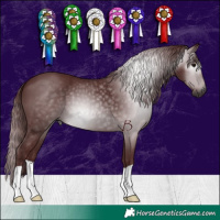 Horse Color:Gray Chocolate Black