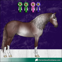 Horse Color:Gray Chocolate Black 