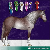 Horse Color:Gray Chocolate Black