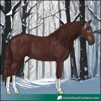 Horse Color:Gray Chocolate Smoky Black 