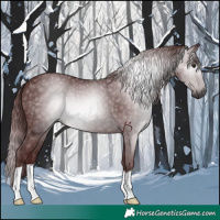 Horse Color:Gray Chocolate Smoky Black