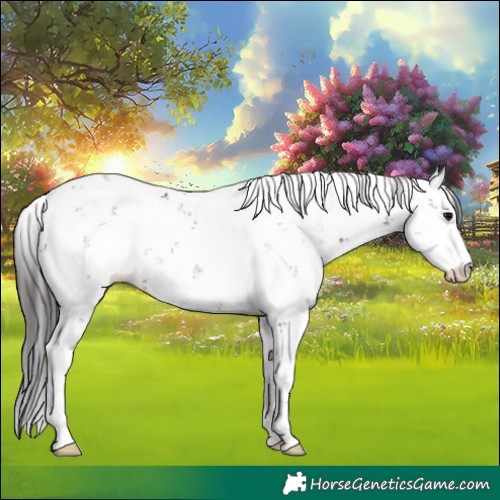 Horse Color:Brown Sabino