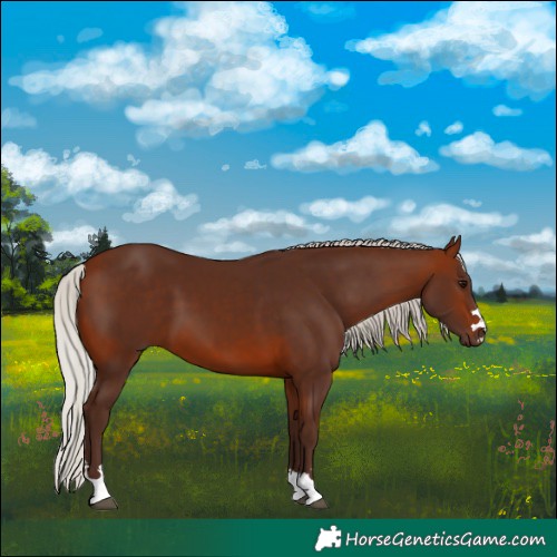 Horse Color:Silver Brown