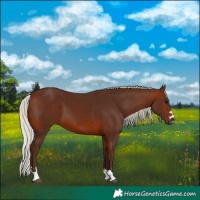 Horse Color:Silver Brown 