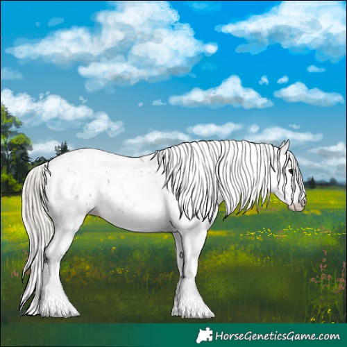 Horse Color:Silver Black Sabino Rabicano 