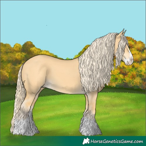 Horse Color:Palomino Dun Splash
