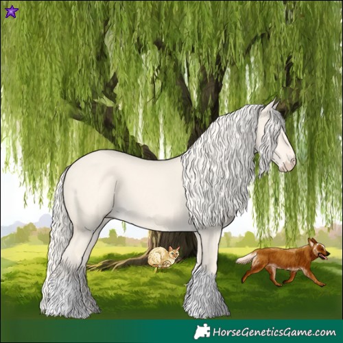 Horse Color:Cremello Dun Tobiano