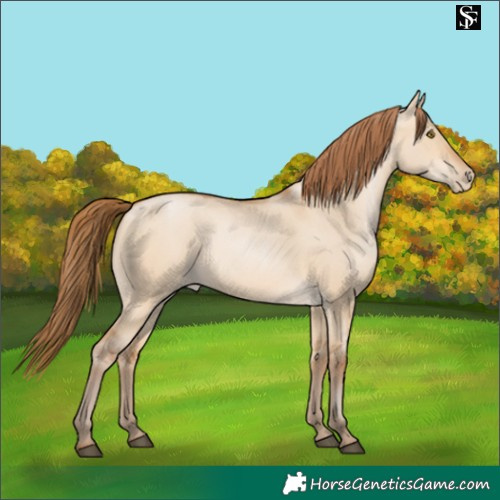 Horse Color:Brown Pearl Dun 