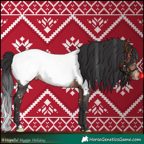 Horse Color:Brown Appaloosa 