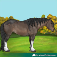 Horse Color:Brown Dun Tobiano 