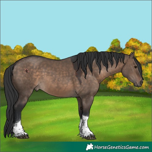 Horse Color:Brown Dun Tobiano 