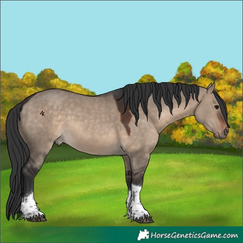 Horse Color:Brown Dun Tobiano 