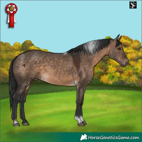 Horse Color:Brown Dun Tobiano