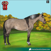 Horse Color:Brown Dun Tobiano