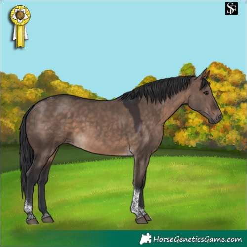 Horse Color:Brown Dun Tobiano 