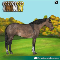 Horse Color:Brown Dun Tobiano 