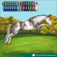 Horse Color:White Spotted Silver Black