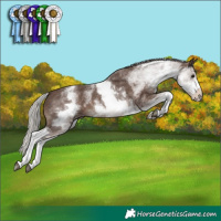 Horse Color:White Spotted Silver Black 