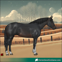 Horse Color:Brown Tobiano 