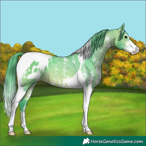 Horse Color:Watercolor Bay Sabino Tobiano Blanket 
