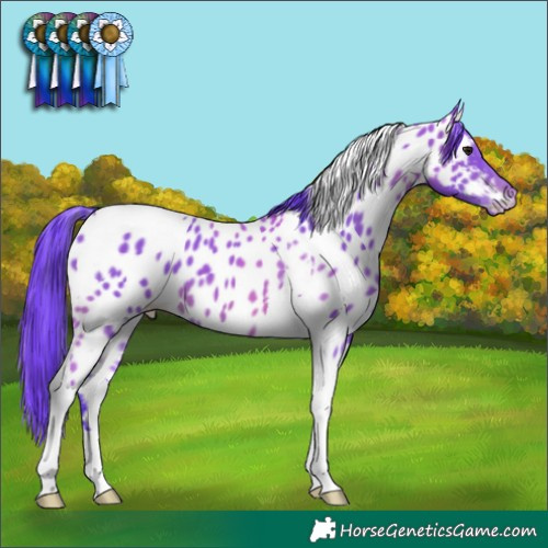 Horse Color:Watercolor Brown Tobiano Near Leopard 