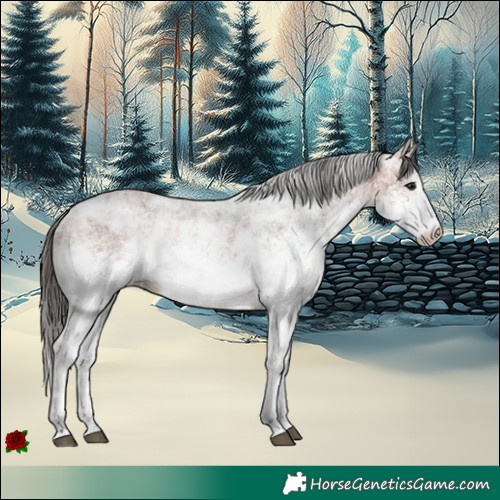 Horse Color:White Spotted Bay Sabino 