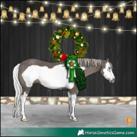 Horse Color:Silver Black Splash Frame 