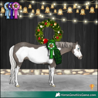 Horse Color:Silver Black Splash Frame 