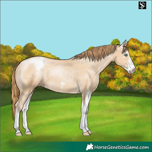 Horse Color:Smoky Black Pearl Sabino Varnish 