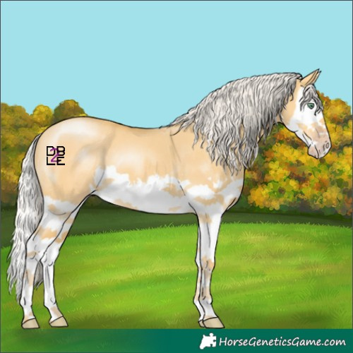 Horse Color:Silver Amber Cream Champagne Dun Splash 