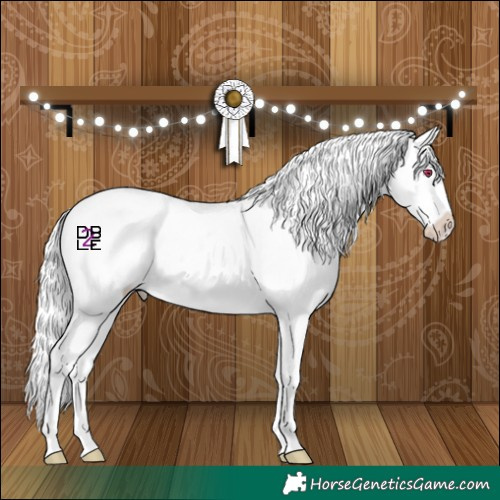 Horse Color:White Spotted Silver Classic Champagne Chinchilla Onyx Splash Tobiano 