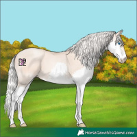 Horse Color:Silver Amber Champagne Pearl Splash