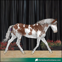 Horse Color:White Spotted Silver Brown Splash