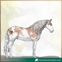 Horse Color:White Spotted Silver Sable Champagne Splash 