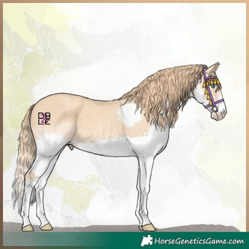 Horse Color:Gold Champagne Splash
