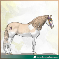Horse Color:Gold Champagne Splash 